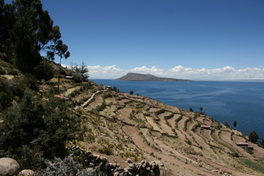 taquile_island_fields.jpg